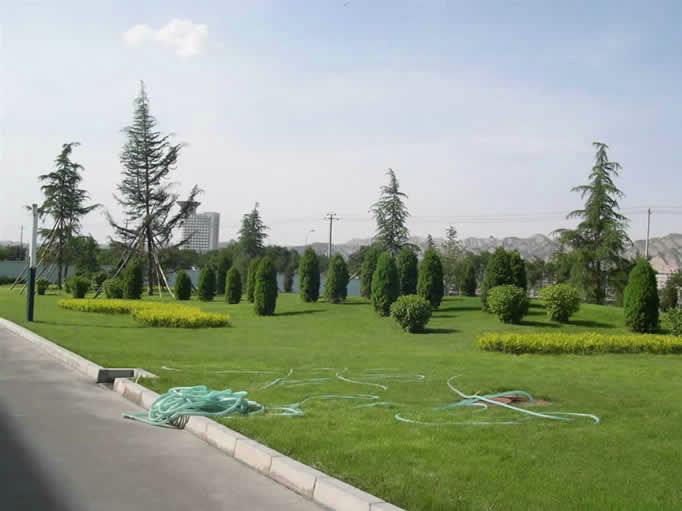 洛阳市孟津区境内高速下道口归纳提拔、G310孟津境绿化提拔工程（项目代码-04-01-826676）-公然招标告示